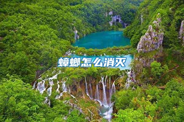 蟑螂怎么消滅