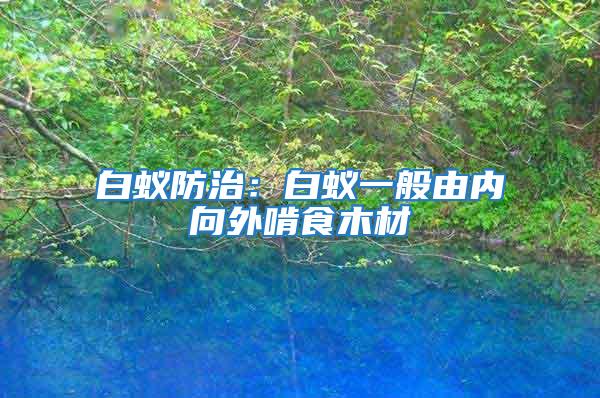 白蟻防治：白蟻一般由內向外啃食木材