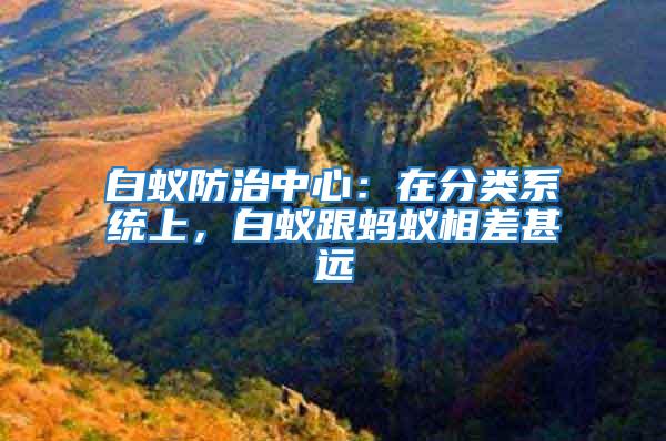 白蟻防治中心：在分類系統(tǒng)上，白蟻跟螞蟻相差甚遠(yuǎn)
