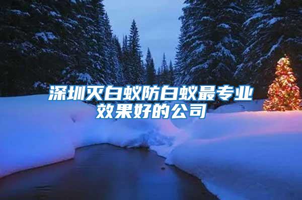 深圳滅白蟻防白蟻最專業效果好的公司