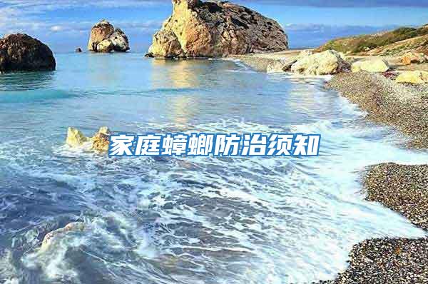 家庭蟑螂防治須知