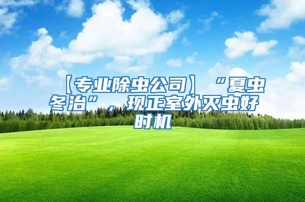 【專業除蟲公司】“夏蟲冬治”，現正室外滅蟲好時機