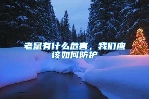 老鼠有什么危害，我們應該如何防護