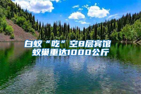 白蟻“吃”空8層賓館 蟻巢重達1000公斤