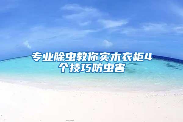 專業除蟲教你實木衣柜4個技巧防蟲害