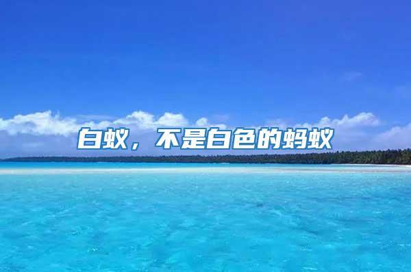 白蟻，不是白色的螞蟻