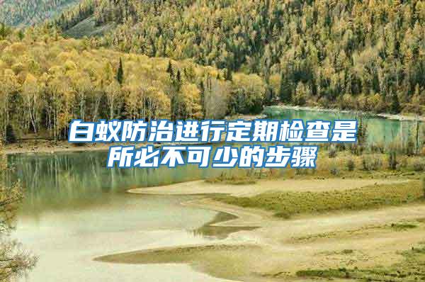 白蟻防治進行定期檢查是所必不可少的步驟