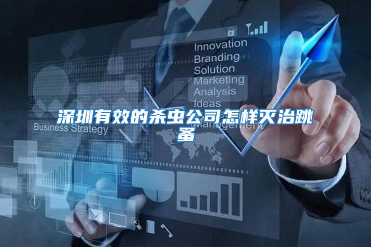 深圳有效的殺蟲公司怎樣滅治跳蚤