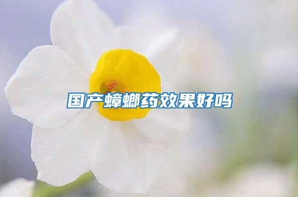國產蟑螂藥效果好嗎