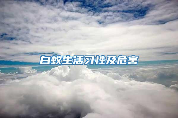白蟻生活習性及危害