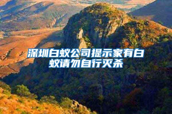 深圳白蟻公司提示家有白蟻請勿自行滅殺