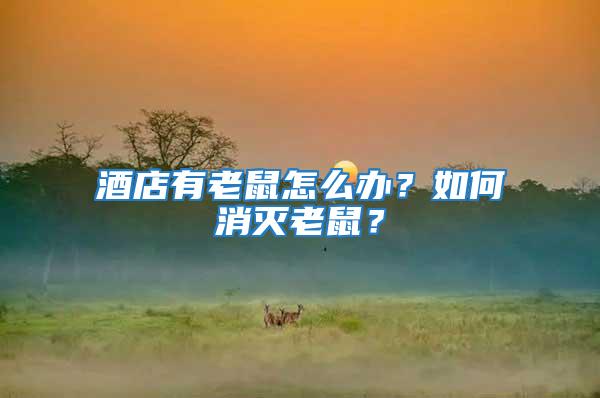 酒店有老鼠怎么辦？如何消滅老鼠？