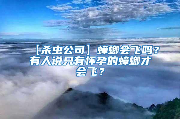 【殺蟲公司】蟑螂會(huì)飛嗎？有人說只有懷孕的蟑螂才會(huì)飛？