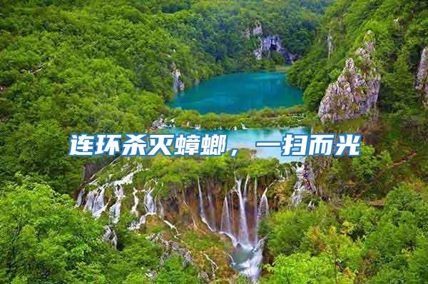 連環殺滅蟑螂，一掃而光