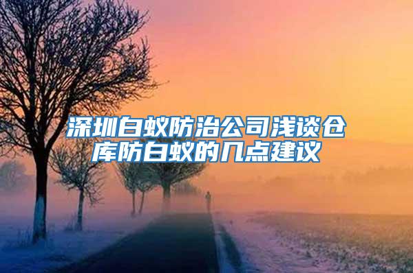 深圳白蟻防治公司淺談倉庫防白蟻的幾點(diǎn)建議