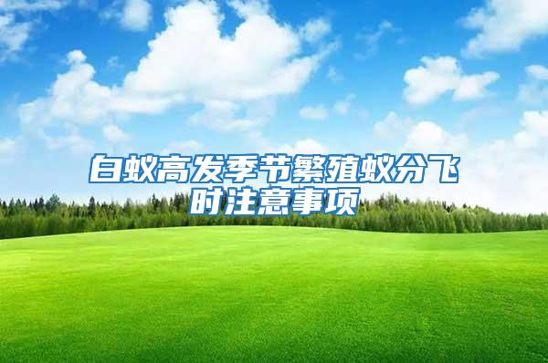 白蟻高發季節繁殖蟻分飛時注意事項