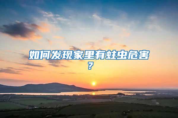 如何發現家里有蛀蟲危害？
