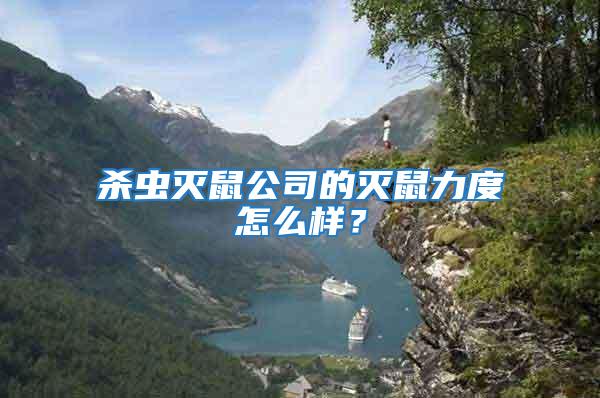 殺蟲滅鼠公司的滅鼠力度怎么樣？