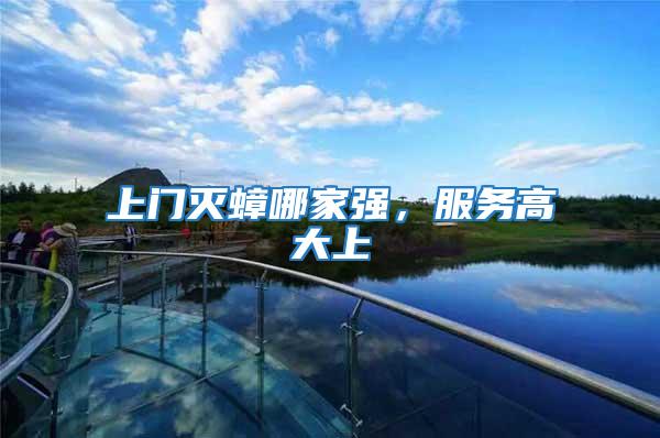 上門滅蟑哪家強，服務高大上