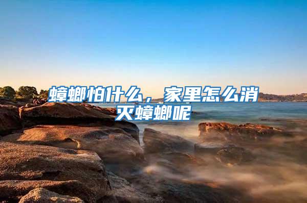 蟑螂怕什么，家里怎么消滅蟑螂呢