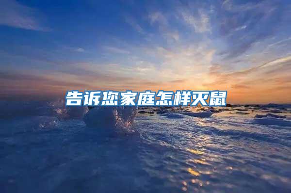 告訴您家庭怎樣滅鼠