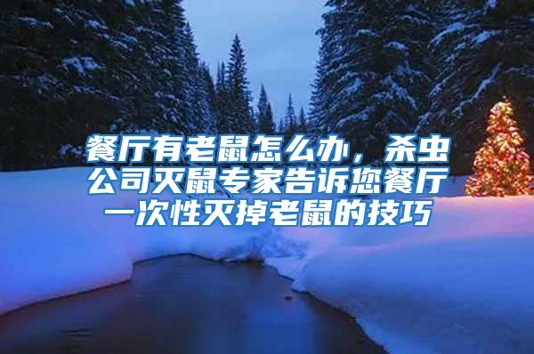 餐廳有老鼠怎么辦，殺蟲公司滅鼠專家告訴您餐廳一次性滅掉老鼠的技巧