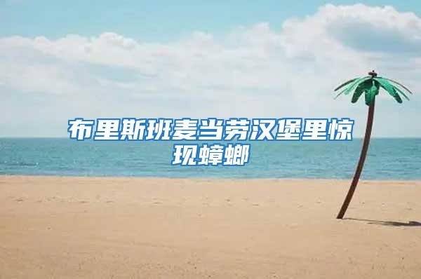 布里斯班麥當勞漢堡里驚現(xiàn)蟑螂