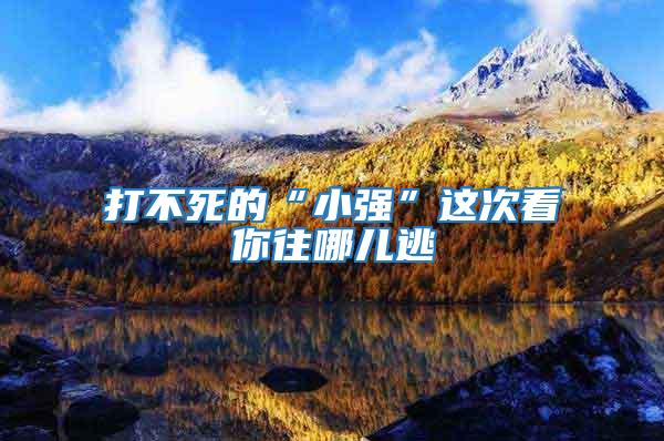 打不死的“小強”這次看你往哪兒逃