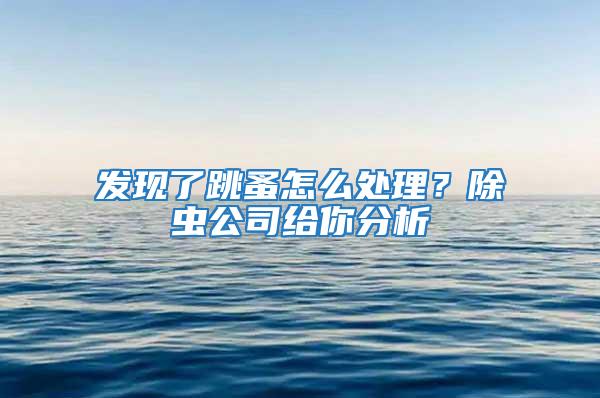 發現了跳蚤怎么處理？除蟲公司給你分析