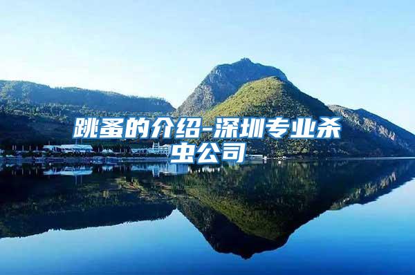 跳蚤的介紹-深圳專業殺蟲公司