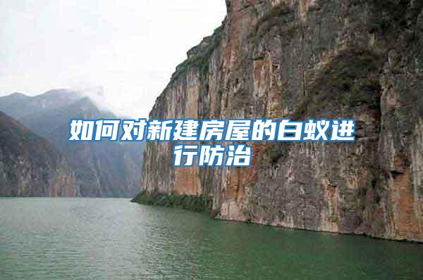 如何對新建房屋的白蟻進行防治