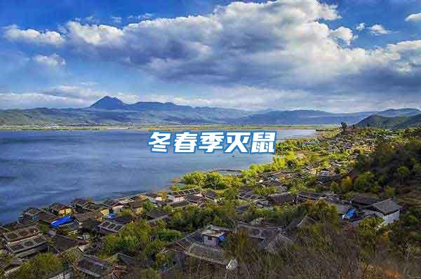 冬春季滅鼠