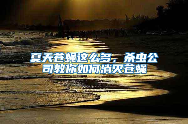 夏天蒼蠅這么多，殺蟲公司教你如何消滅蒼蠅