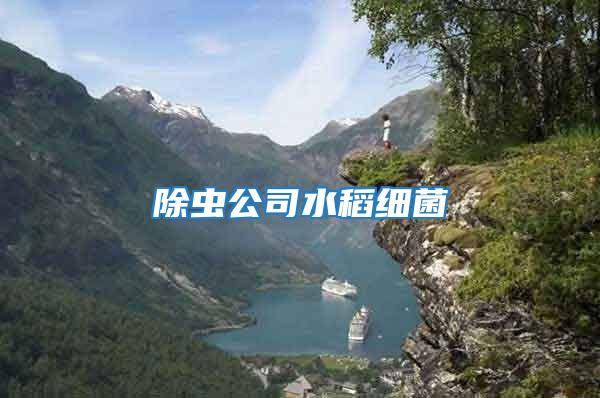 除蟲公司水稻細(xì)菌