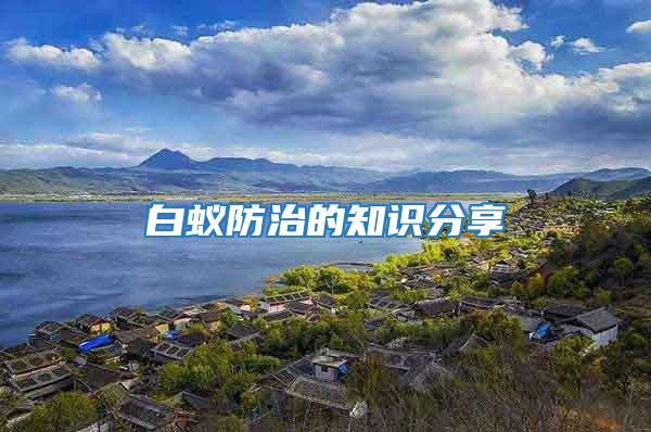 白蟻防治的知識(shí)分享