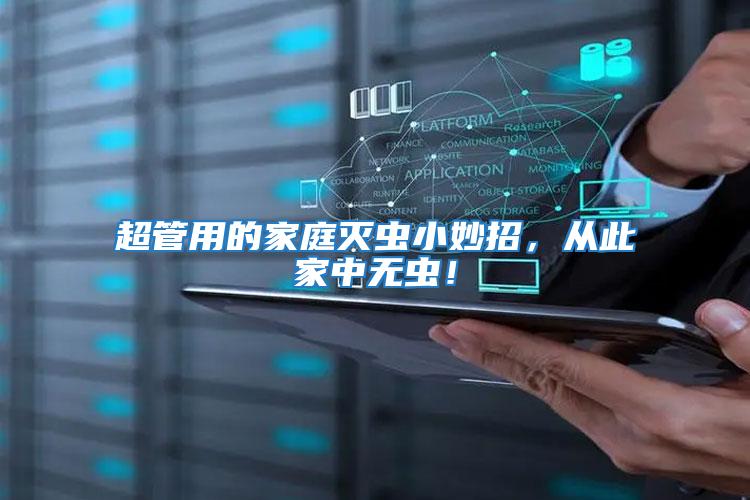 超管用的家庭滅蟲小妙招，從此家中無蟲！
