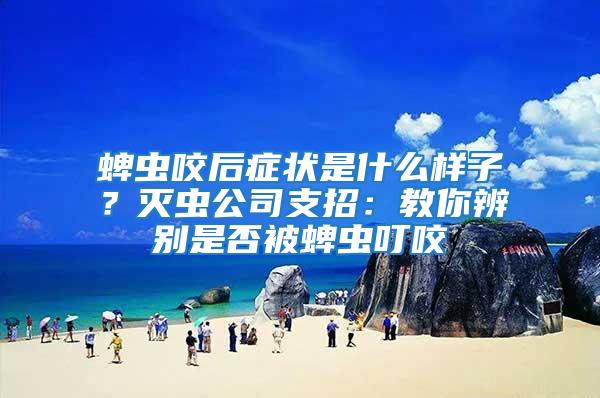 蜱蟲咬后癥狀是什么樣子？滅蟲公司支招：教你辨別是否被蜱蟲叮咬