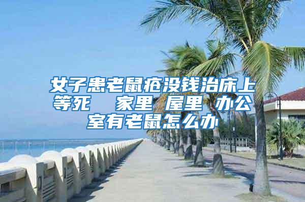 女子患老鼠瘡沒錢治床上等死  家里 屋里 辦公室有老鼠怎么辦