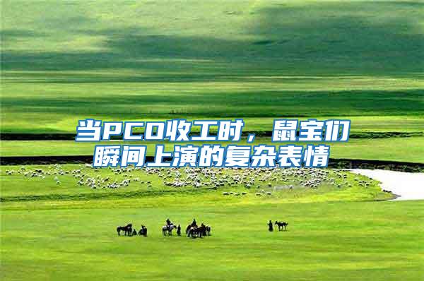 當PCO收工時，鼠寶們瞬間上演的復雜表情