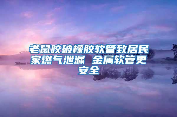 老鼠咬破橡膠軟管致居民家燃氣泄漏 金屬軟管更安全
