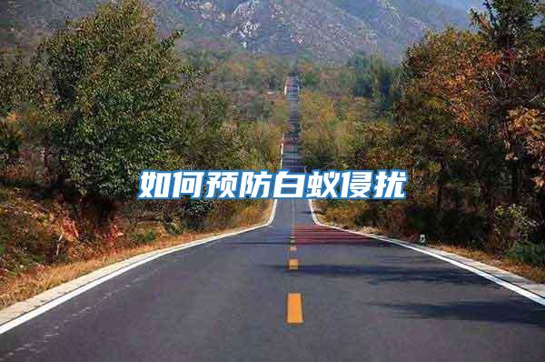 如何預(yù)防白蟻侵?jǐn)_