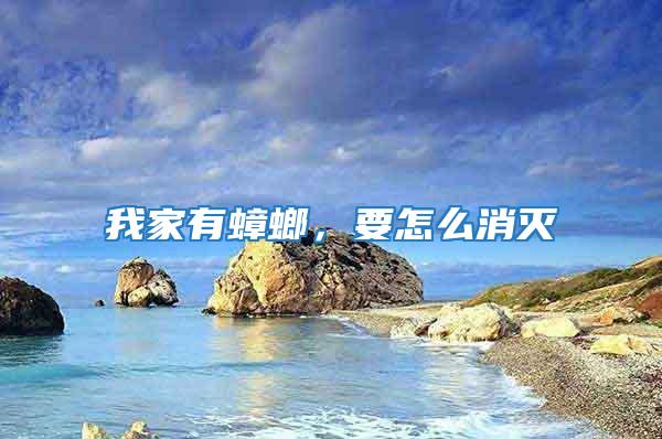 我家有蟑螂，要怎么消滅