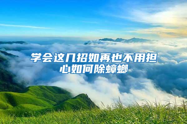 學會這幾招如再也不用擔心如何除蟑螂
