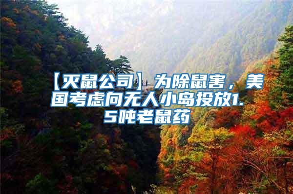 【滅鼠公司】為除鼠害，美國考慮向無人小島投放1.5噸老鼠藥