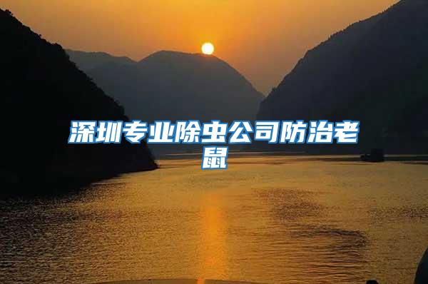 深圳專業除蟲公司防治老鼠