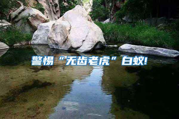 警惕“無(wú)齒老虎”白蟻!