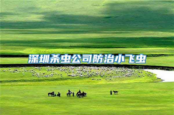 深圳殺蟲(chóng)公司防治小飛蟲(chóng)