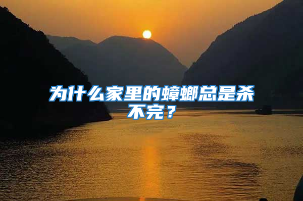 為什么家里的蟑螂總是殺不完？