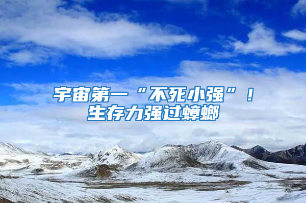 宇宙第一“不死小強”！生存力強過蟑螂
