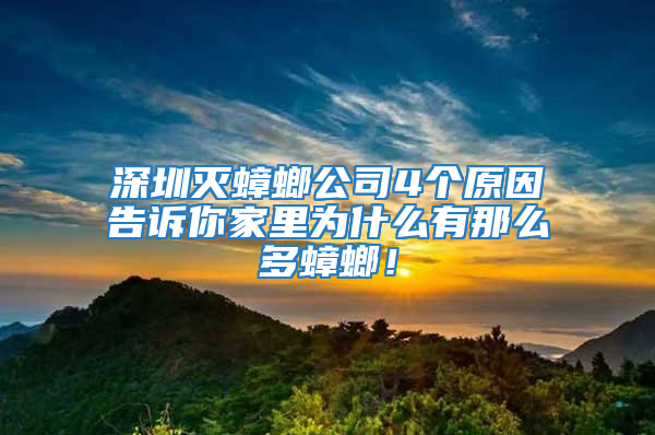 深圳滅蟑螂公司4個原因告訴你家里為什么有那么多蟑螂！